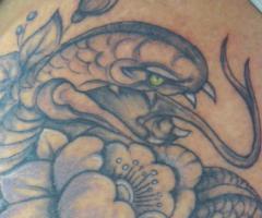 Snake tattoo