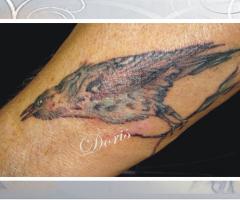 Crow tattoo