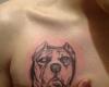 Pitbull chest tattoo