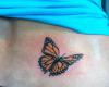 Butterfly tattoo