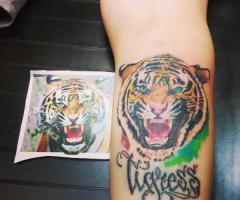 Tigre tattoo