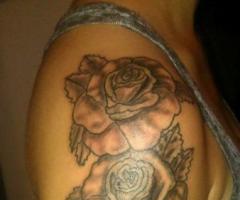 Rosas