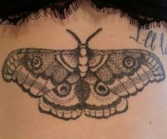 tattoo apprentice