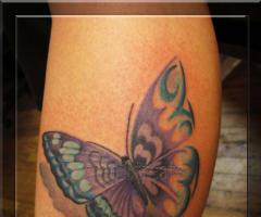 Real Tribal Butterfly Tattoo