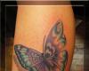 Real Tribal Butterfly Tattoo