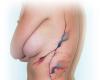 http://www.tattooset.com/images/tattoo/2014/11/01/24183-watercolor-abstract-freehand-tattoo_tiny.jpg