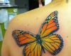 Tatuaje de mariposa en la espalda a color