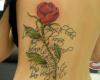 http://www.tattooset.com/images/tattoo/2014/11/21/24363-frases-de-tatuajes-para-mujeres_tiny.jpg