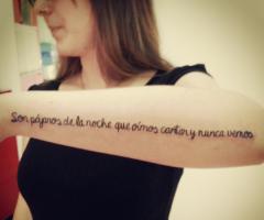 Son pájaros de la noche que oímos cantar y nunca vemos