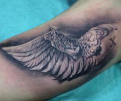 Tatuaje de ala en el brazo