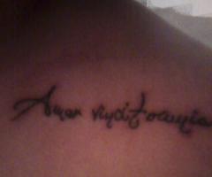 AMOR VINCIT OMNIA