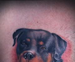 Dog tattoo