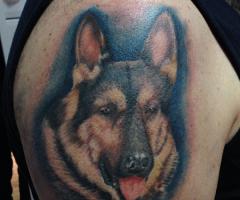 Dog tattoo