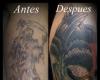 Cover up