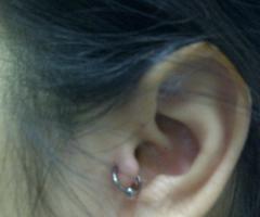 piercing tragus