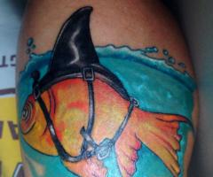 fish new school