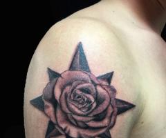 rosa con rosa dei venti