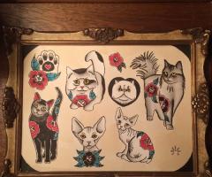 Cats flash