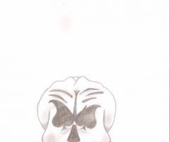skull&cards