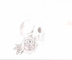 skull&rose