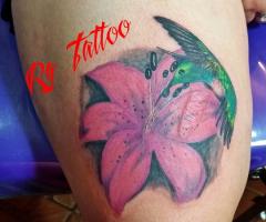 colibri cover cicatriz