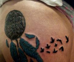 atrapasueños y pajaros