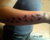 Tattoos de pajaros