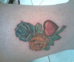 rosas