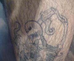 SKELETON