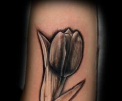 Tulip tattoo