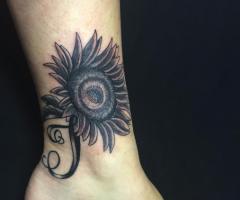 Girasole